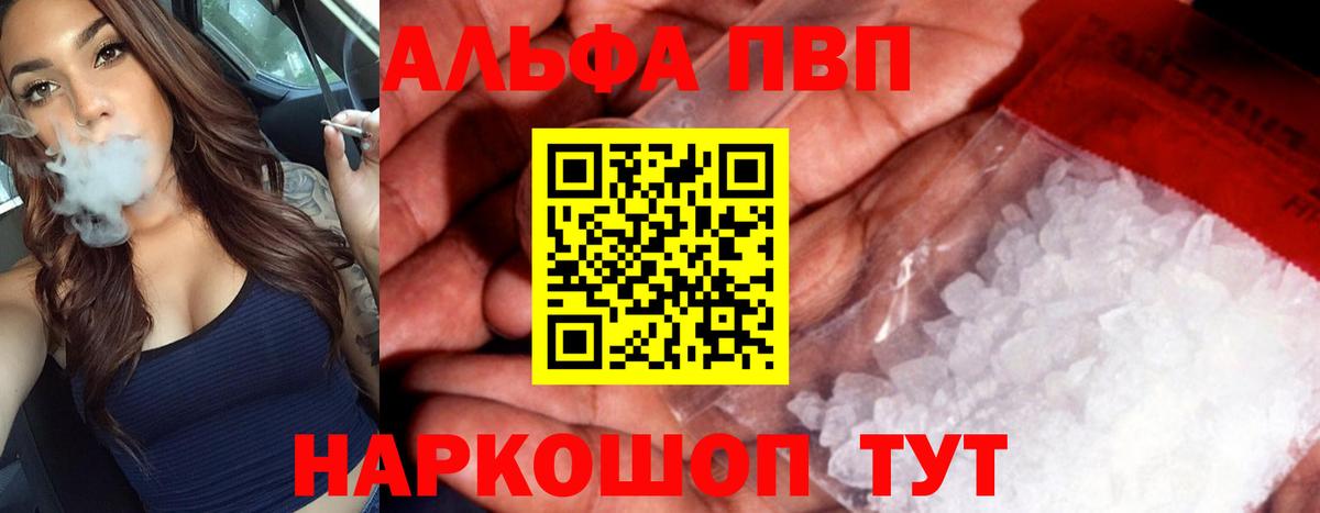 Альфа ПВП СК КРИС Саранск