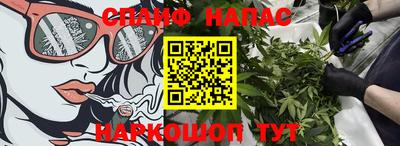 соль ск Новодвинск