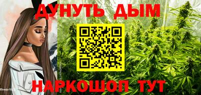соль ск Новодвинск