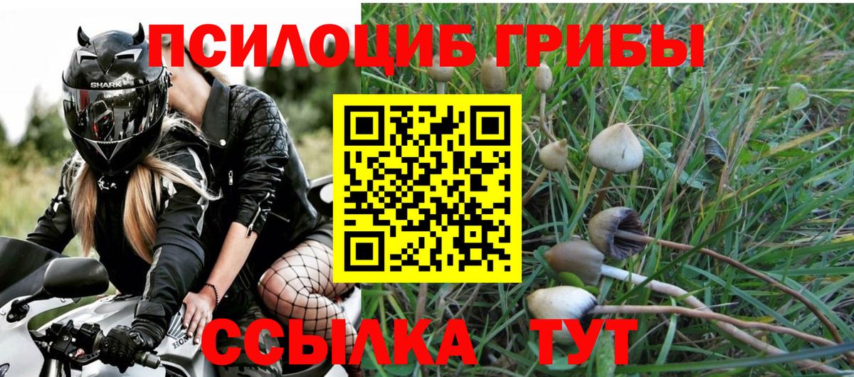 Саранск  Галлюциногенные грибы GOLDEN TEACHER  Вход с VPN  Псилоцибиновые грибы MAGIC MUSHROOMS 