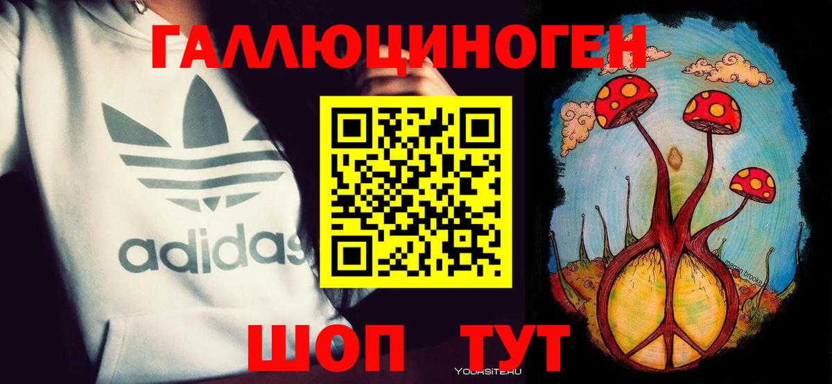 Псилоцибиновые грибы мицелий Саранск